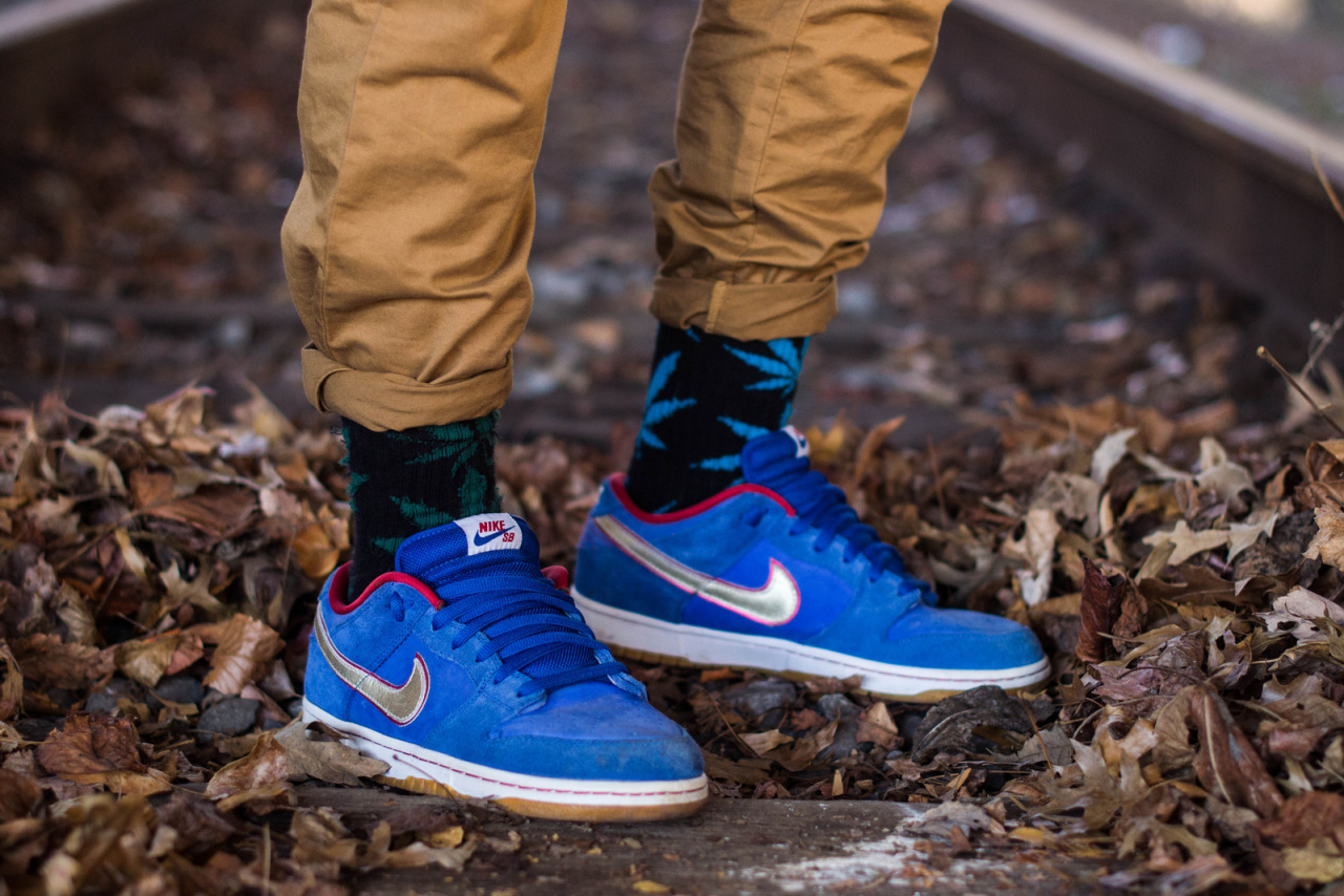 nike sb dunk low koston