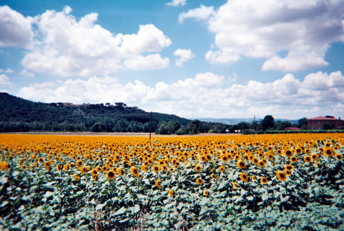 Umbria, Italy - 2014