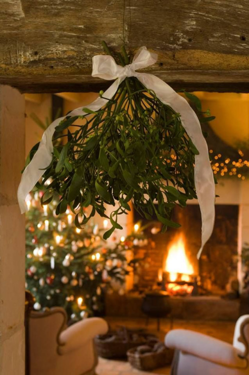 Giorgia's xmas