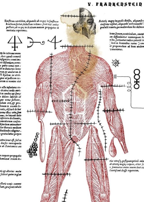 brokehorrorfan: The 200th anniversary of Mary Shelley’s Frankenstein; or, The Modern Prometheu