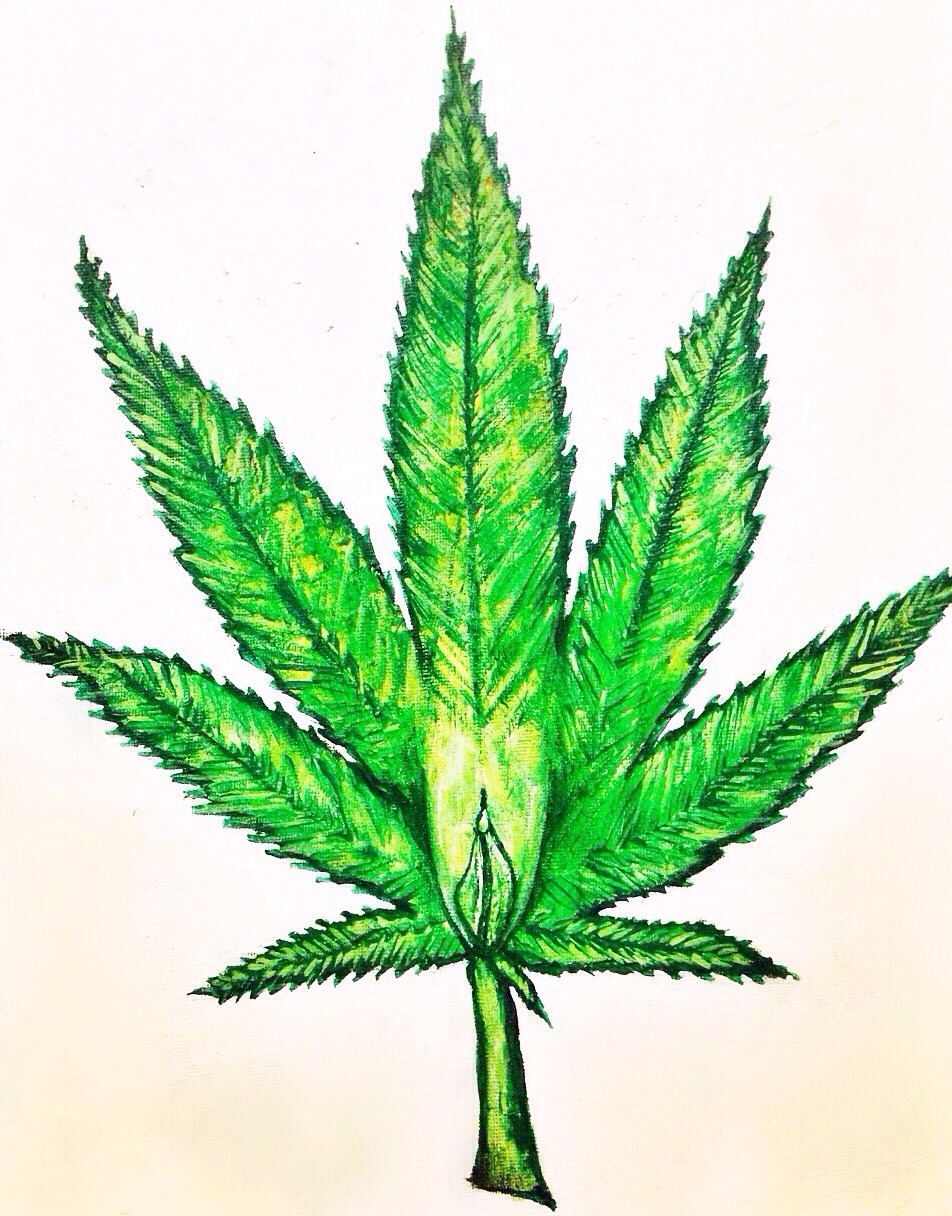 betusharapatusha:  For more of my artwork my Instagram is @ betusharapatusha 🌵💚