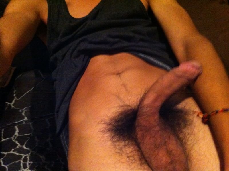 erectate:Aportes.