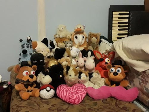 I found some (I had a lot. I didn’t, and still don’t like dolls) the stuffed animals I o