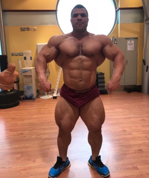 Hassan Mostafa - 8 weeks out. porn pictures