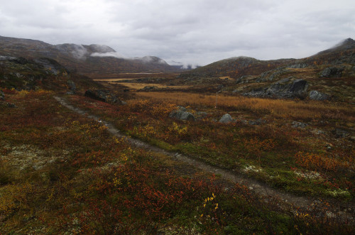 Day 7: Tundra hiking under grey skies by Gregor Samsa