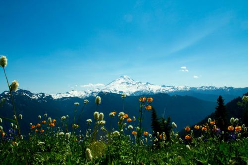 stunningpicture: Mount Baker Washington - I’m a 15 year old amateur photographer and I thought