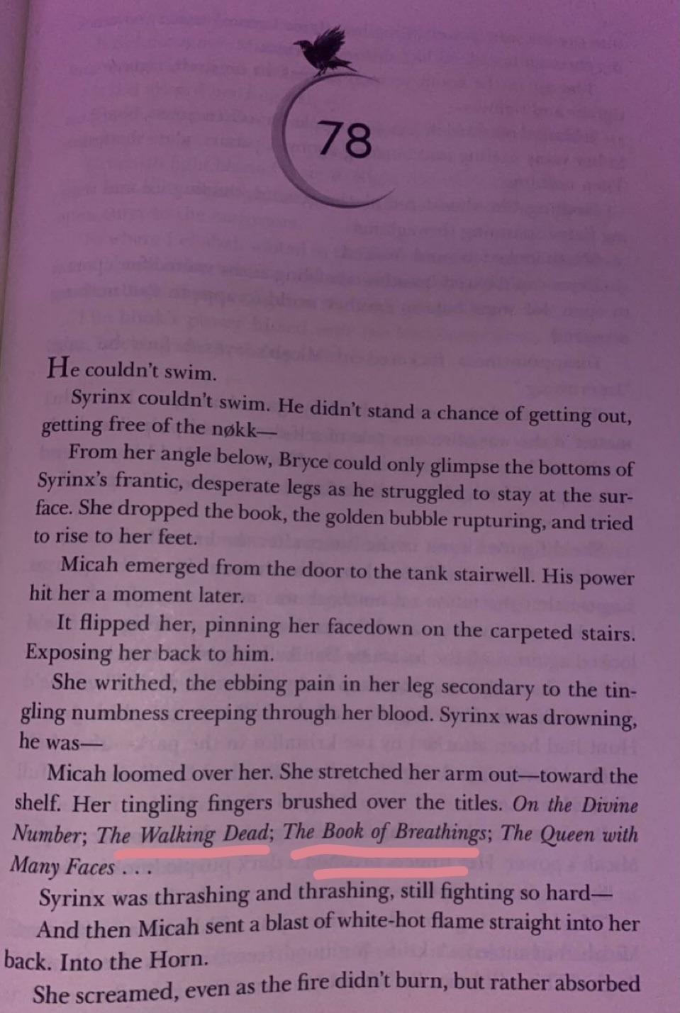 house of flame and shadow's first snippet 💜✨ (cc series spoilers