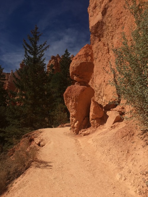 masterbreadman:Bryce Canyon Navajo Loop… also Thor’s Hammer at the top to the right.Bryce Canyon may