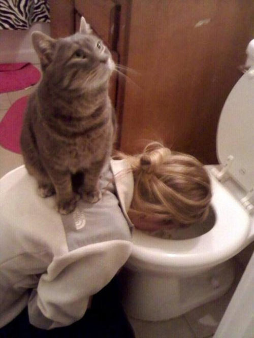 advice-animal:Cats Just Don’t Care About Your Suffering