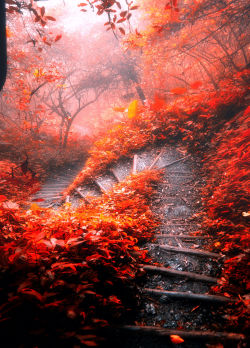 lori-rocks:  the twisted path, by hanson