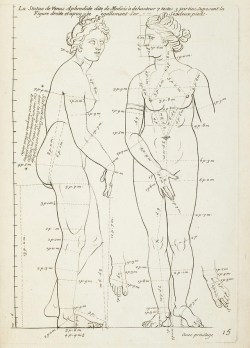 acrosscenturiesandgenerations:▪Venus de’ Medici. Published: Gérard Audran (1640 - 1703) Drawn/Engraved: Girolamo Mantelli From: Girard Audran, Les Proportions Du Corps Humain, Mesurées sur les plus belles Figures de l'Antiquité(Paris: 1683),