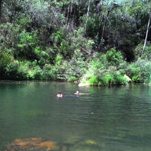 oceaniatropics: Cooper’s creek, Gippsland, Victoria, Australia, by oceaniatropics