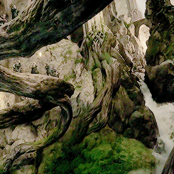 elvenking:The Woodland Realm was a kingdom of Silvan Elves in the Forest of the Wilderland beginning