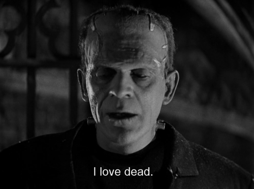 heirloombabydoll:The Bride of Frankenstein (1935), dir. James Whale