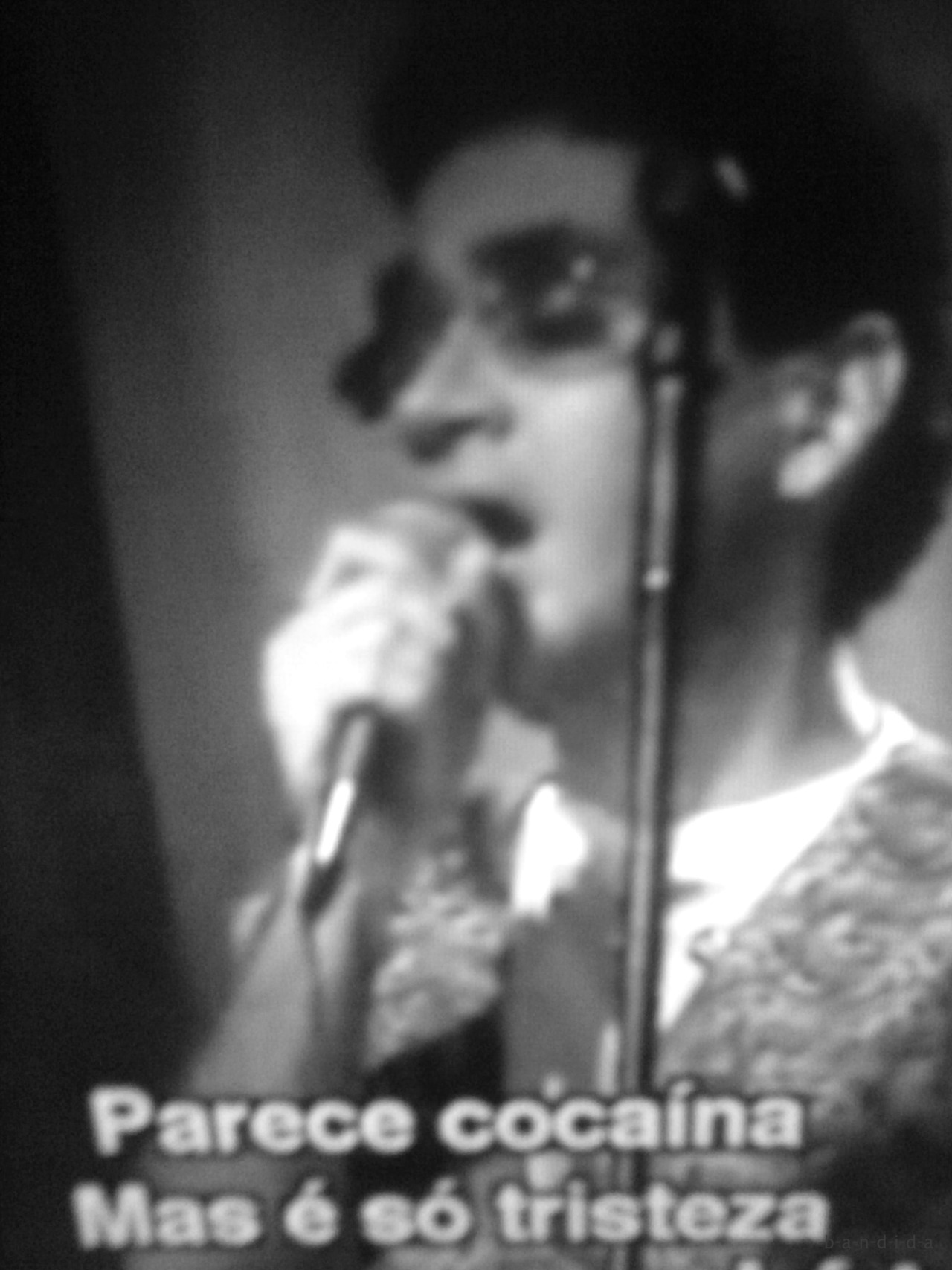 Legalize a vida...