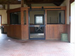 twostarsandstripes:  posting-trot:  hunterjumpersismylife:  coltinrolex2013:  Empty stall.  Three Chimneys Farm. I wanted to move into this stall.  That stall is huge   this stall is bigger than my apartment  The Three Chimneys stallions normally have