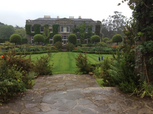 doesmyforeheadpleaseyou: A visit to Mount Stewart House.