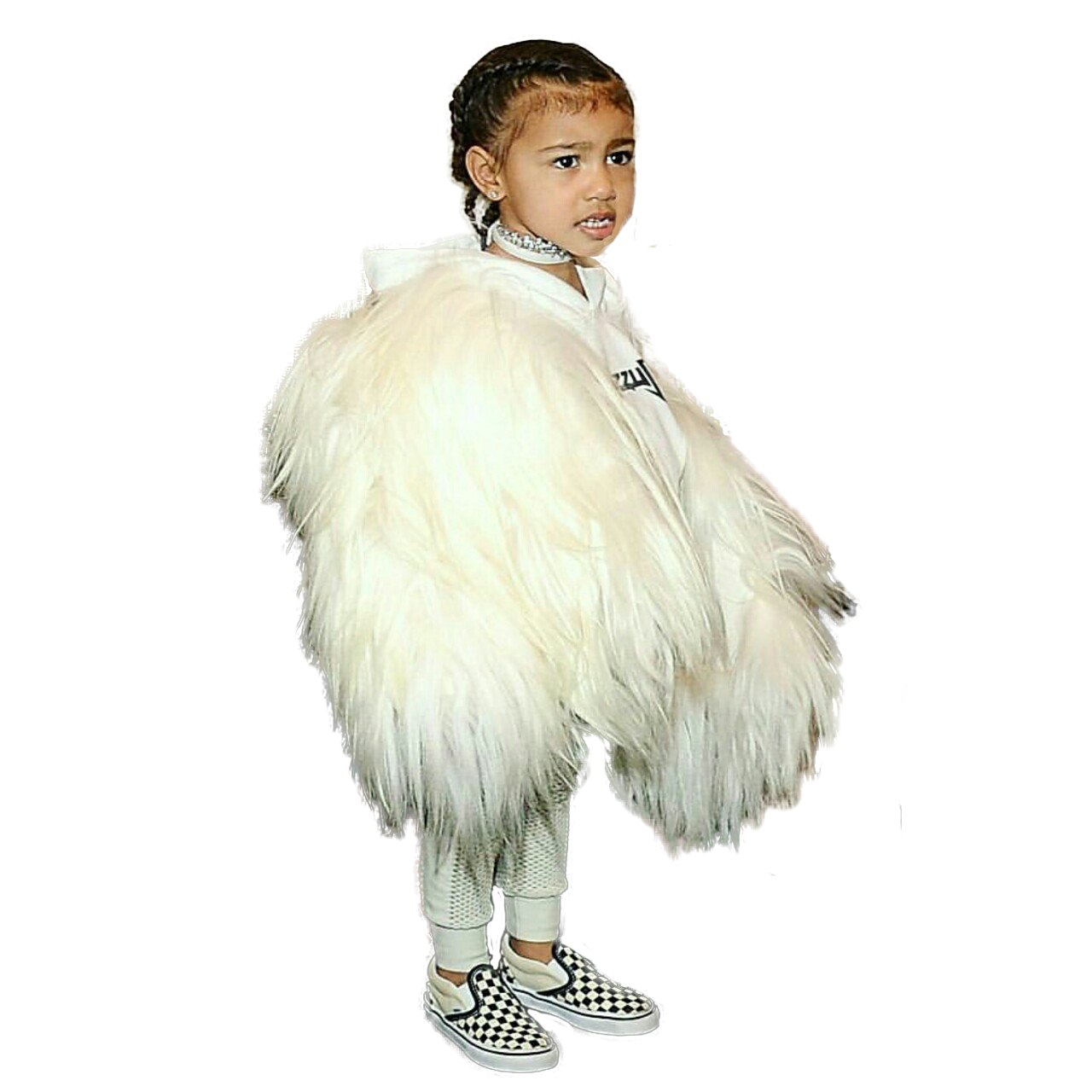 cybergloss:  transparent north west  