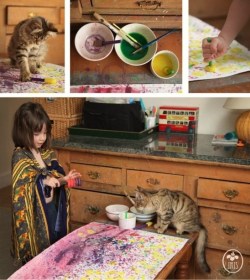 catsbeaversandducks:  Amazing Kitten Helps Artist Girl With Autism Looking at little Iris Halmshaw’s photographs, you wouldn’t think that she was any different than any other 4-year-old little girl. And yet, she is. Iris is on the autism spectrum.