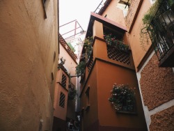 nycismybitch:Callejón del beso “Alley