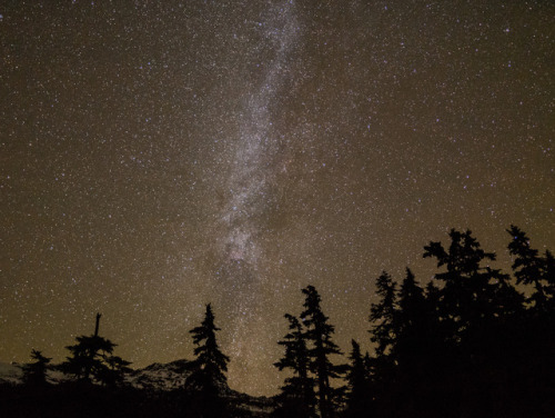 The of the milky way from my camp site.This is a 4 x 15 second exposures in one shot, which was done