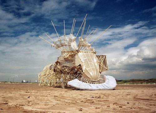 Culture is an acquired taste, something to be sought out and hunted. Strandbeests make perfect pray,