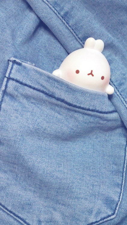 molang