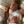 parislohan:the feminine urge to wield a butterfly knife 