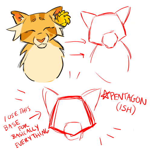 Do You Have Any Tips For Cat Face Shape?? I Struggle To Imagine Anything But Circle