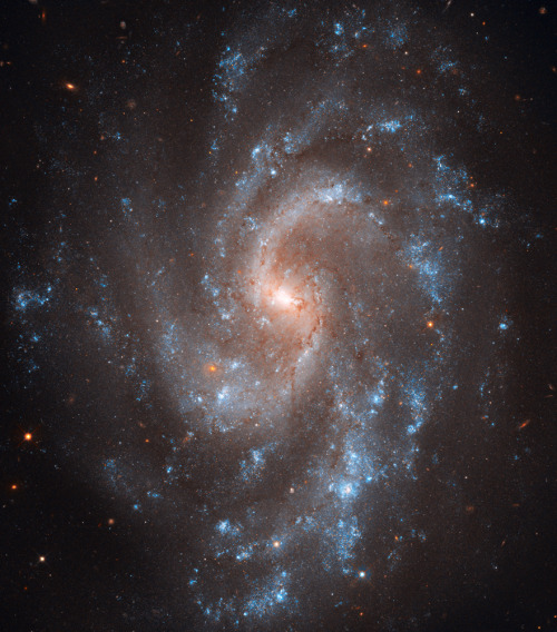 back-to-the-stars-again:Hubble’s View of NGC 5584.Credit: NASA, ESA, A Riess, L Macri and The Hubble