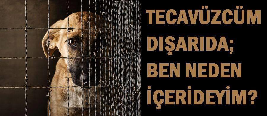 Bi Parça Gökyüzü
