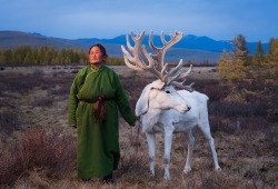 recovering-and-healing:Saintsetseg Jambaldorj, a member of the Tsaatan ethnic minority, one of the last remaining groups of nomadic reindeer herders in Mongolia, wearing a traditional deel - the guardian