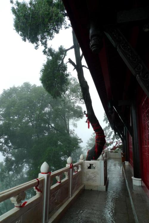 Mount Qingcheng(青城山), Sichuan, it’s near Chengdu and is one of the most important shrines of T