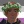 celestial-cryptid: seventh-dragon:  Yo, if the Voltron, She-ra, and dragon prince fandoms all combine it should be call The Dragon Defenders of Power.  