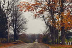 elegant-autumn:  autumn blog all year round