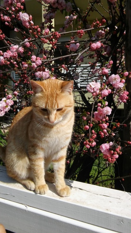 Beyonce loves the flowers!