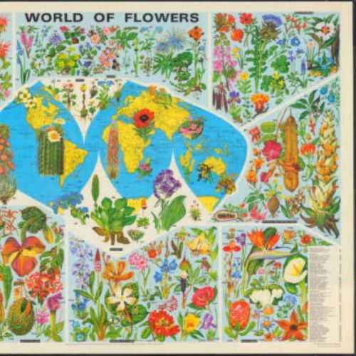 This map, World of Flowers, was produced by John Bartholomew and Son. It is based on Barbara Everard