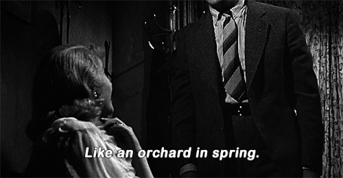 cinemaspam:A Streetcar Named Desire (1951) dir. Elia Kazan