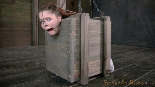 sexslavefantasy:  thepublicproperty:  I can fit in that box, I can live in that box..  Whore in a box