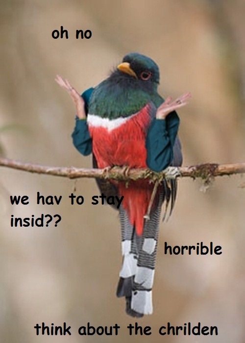 vanehwasreal:  friends: oh no! it’s raining, we can’t go out! this sucks!! me: