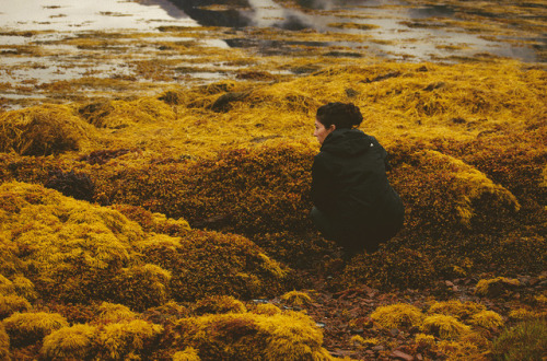 teaganwh:Scottish Highlands, 2017.