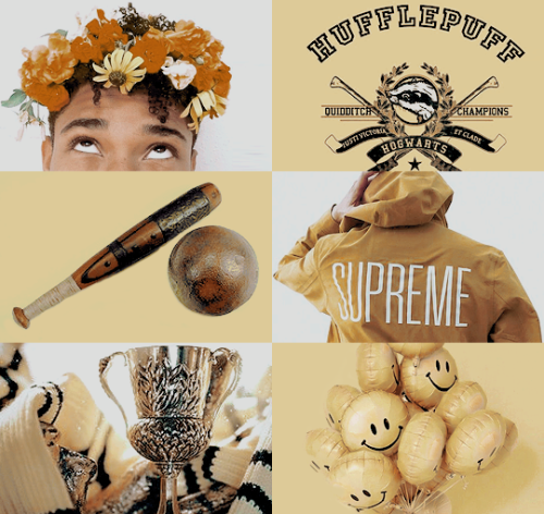 the foxhole court hogwarts au: Danielle Leigh Wilds, Muggle-born, Gryffindor Seeker &amp; CaptainKev