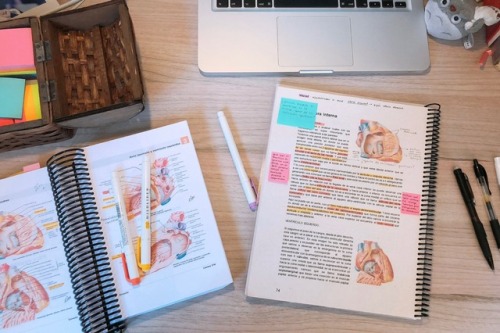 solace-medblr:  I’ve been trying to learn anatomy more by logic rather than only memorizing but it’s