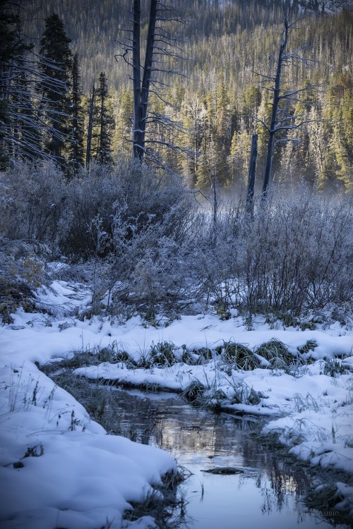 The Morning's Chill Reflects As A Silvery Light, Sylvan Lake Series