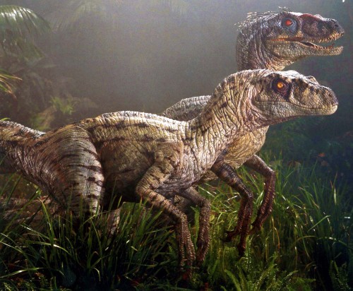 jpnostalgia: Jurassic Park III raptors