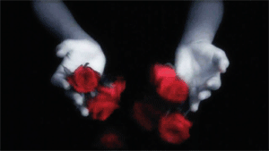 lovegungun:  Malice Mizer - 再会の血と薔薇 