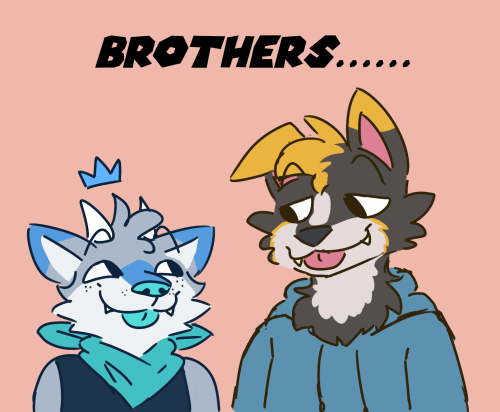 me n my bro!ID Start. Two anthro dogs looking at each other with a silly smile. The left one is pret