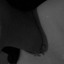 annn-bel