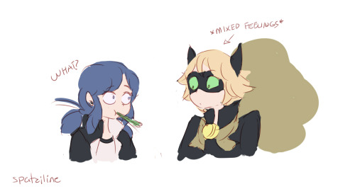 spatziline:but what about “Marinette is not a Ladybug”