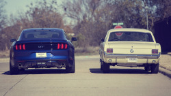 ford-mustang-generation:  1966 and 2015 Mustangs